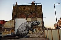 Art & Creativity: animal street art graffiti