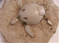 TopRq.com search results: creatures of the mechazoic era
