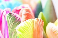 Art & Creativity: colorful flower photo