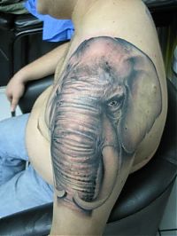 Art & Creativity: creative tattoo
