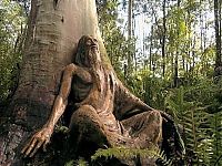 TopRq.com search results: Bruno's Sculpture Garden, Australia