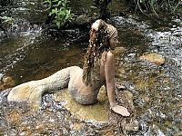 TopRq.com search results: Bruno's Sculpture Garden, Australia