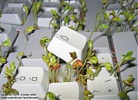 Art & Creativity: cress in keyboard