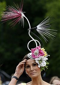 TopRq.com search results: Hats of racing at Royal Ascot