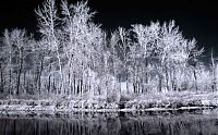 Art & Creativity: Infrared photography by Jeffrey Klassen