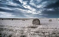 Art & Creativity: Infrared photography by Jeffrey Klassen