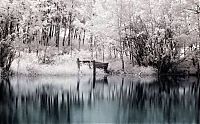 Art & Creativity: Infrared photography by Jeffrey Klassen