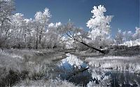 TopRq.com search results: Infrared photography by Jeffrey Klassen