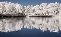 Art & Creativity: Infrared photography by Jeffrey Klassen