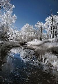 TopRq.com search results: Infrared photography by Jeffrey Klassen