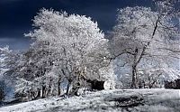 TopRq.com search results: Infrared photography by Jeffrey Klassen