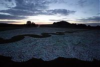 Art & Creativity: CD sea  by Bruce Munro