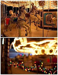 TopRq.com search results: carousel photograph