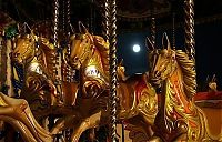 TopRq.com search results: carousel photograph