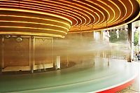 TopRq.com search results: carousel photograph