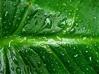 Art & Creativity: dew photography