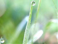 Art & Creativity: dew photography