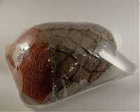 TopRq.com search results: knit meat