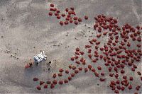 TopRq.com search results: Aerial photography by George Steinmetz