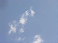 TopRq.com search results: clouds formation creates a horse