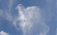 TopRq.com search results: clouds formation creates a horse