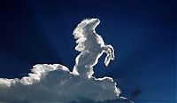 Art & Creativity: clouds formation creates a horse