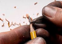 TopRq.com search results: Pencil sculptures by Dalton Ghetti