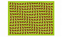 Art & Creativity: optical illusion