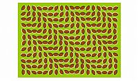 Art & Creativity: optical illusion