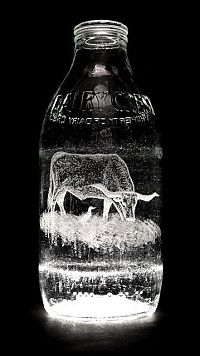 TopRq.com search results: Milk bottle art by Charlotte Hughes-Martin