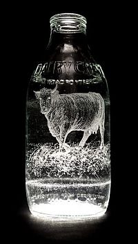 Art & Creativity: Milk bottle art by Charlotte Hughes-Martin