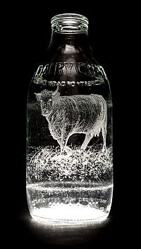 TopRq.com search results: Milk bottle art by Charlotte Hughes-Martin