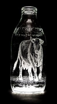 TopRq.com search results: Milk bottle art by Charlotte Hughes-Martin