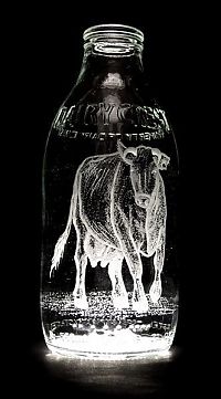 Art & Creativity: Milk bottle art by Charlotte Hughes-Martin