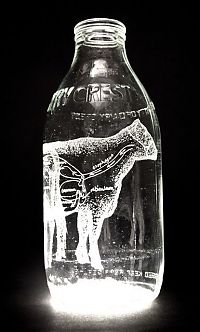TopRq.com search results: Milk bottle art by Charlotte Hughes-Martin