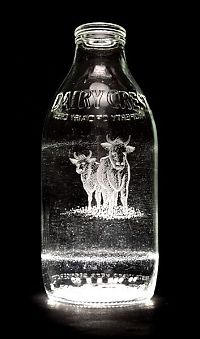 Art & Creativity: Milk bottle art by Charlotte Hughes-Martin