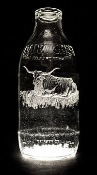 TopRq.com search results: Milk bottle art by Charlotte Hughes-Martin