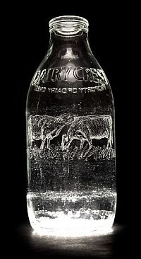 Art & Creativity: Milk bottle art by Charlotte Hughes-Martin