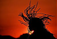 TopRq.com search results: silhouette photography
