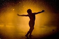 TopRq.com search results: silhouette photography