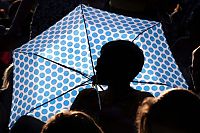 TopRq.com search results: silhouette photography