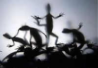 Art & Creativity: silhouette photography