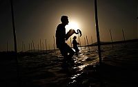 TopRq.com search results: silhouette photography