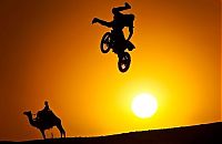 TopRq.com search results: silhouette photography