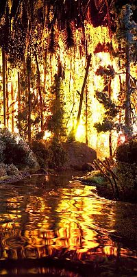 TopRq.com search results: beautiful photos of unreal nature
