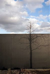 Art & Creativity: shadows art