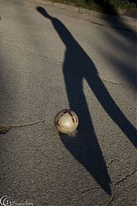 Art & Creativity: shadows art