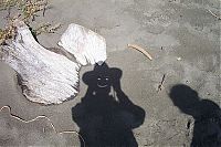Art & Creativity: shadows art