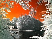 Art & Creativity: infrared photography