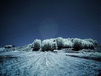 Art & Creativity: infrared photography